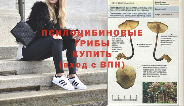 амфетамин Балабаново